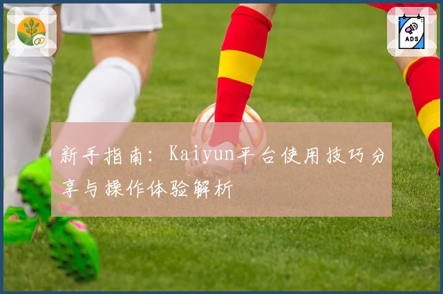 新手指南：Kaiyun平台使用技巧分享与操作体验解析